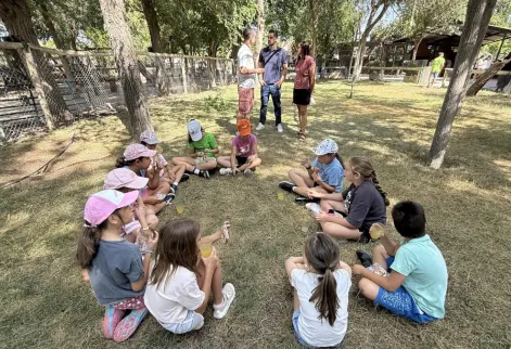 Agenda Ocio - Primer día de diversión en el Campamento Urbano Granja Orea 