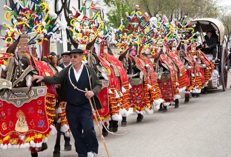 agenda ocio - Romería de La Virgen de las Viñas en Tomelloso